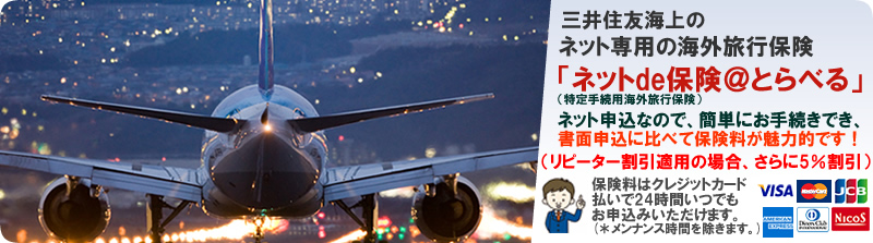 �O��Z�F�@�C�O���s�ی��@�C���^�[�l�b�g�\����